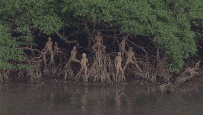 CLITORIS by Carlota Guerrero